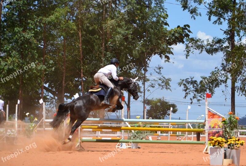 Proof Equestrianism Championship Free Photos