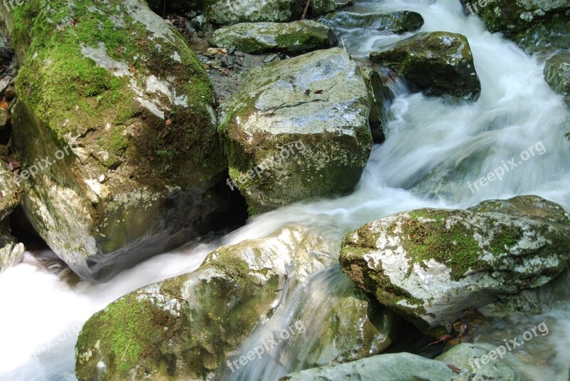 Water Rock Nature Force Of Nature Moss