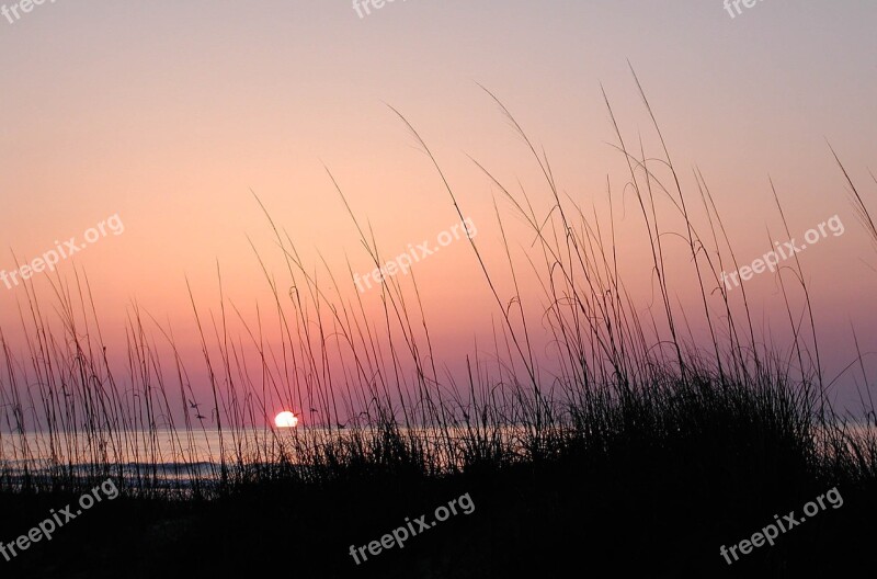 Sea Grass Sunrise Hilton Head Sea Gulls Free Photos