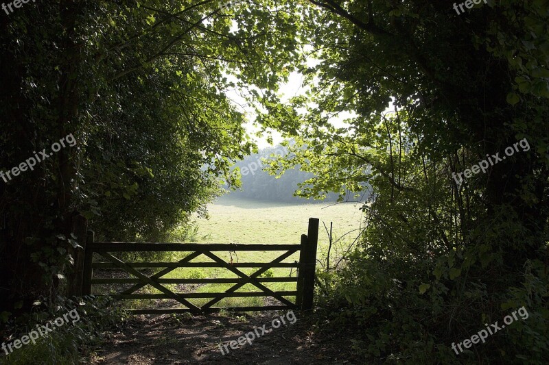 Gate Field Bush Green Nature Countryside