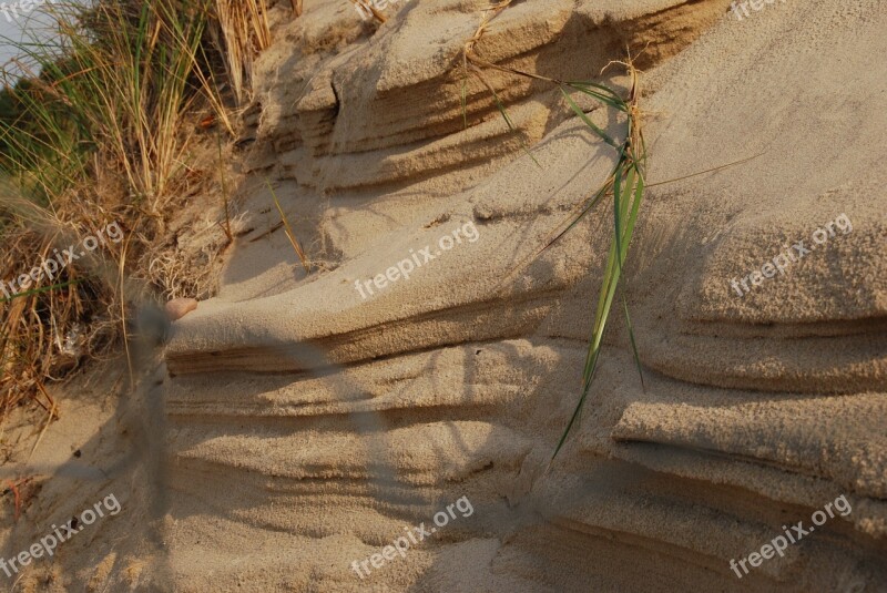 Beach Dune Grass Baltic Sea Free Photos