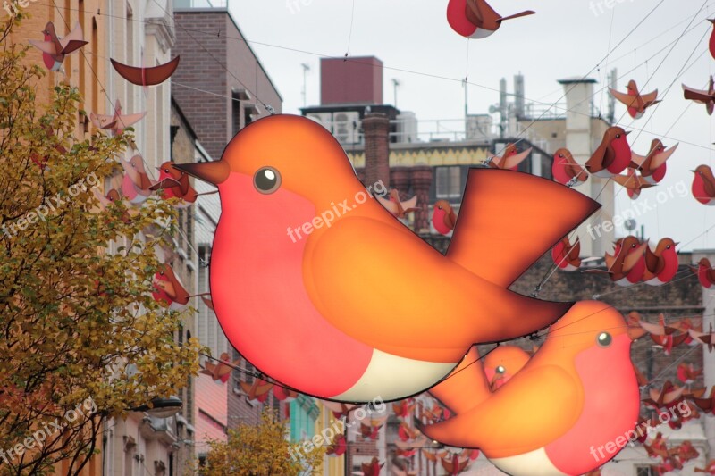 Birds London Soho Uk England