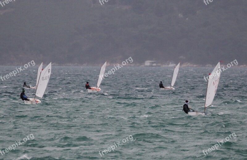 Sailing Optimist Sea Free Photos