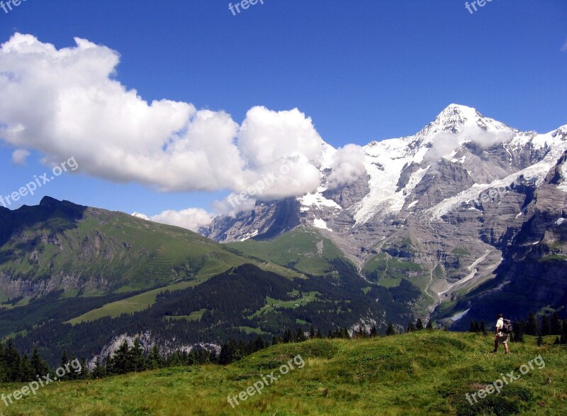 Switzerland Hiker Mürren Mönch Free Photos