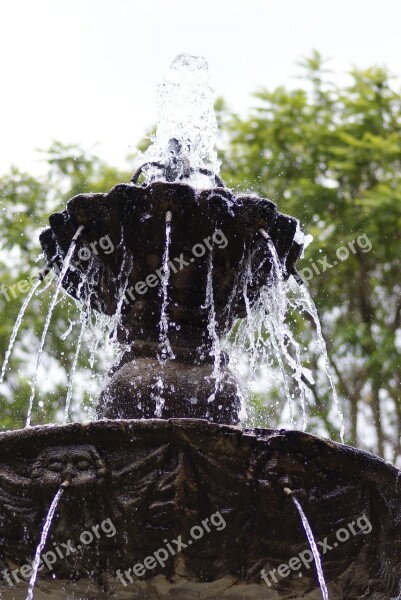 Source Water Jets Gardens Free Photos