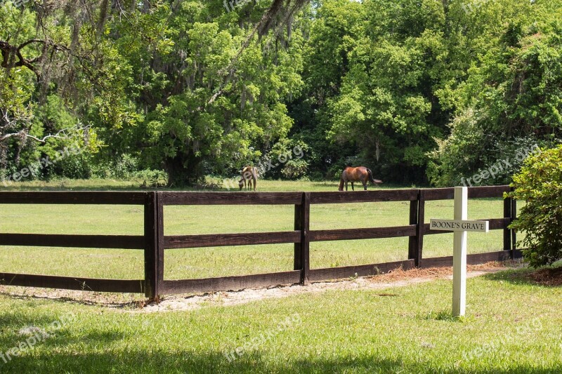 Grave Maker Cross Horse Fence Landscape