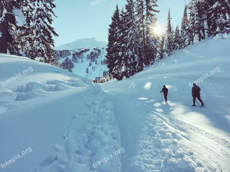 Ski Xcountry Ski Nature Season Winter