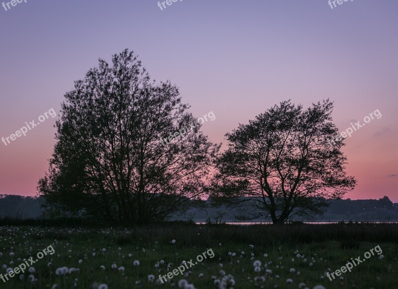 Trees Sunset Lake Natural Sky