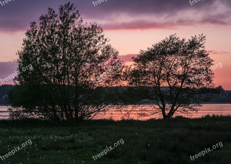 Trees Sunset Lake Natural Sky