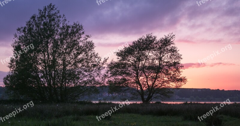 Trees Sunset Lake Natural Sky