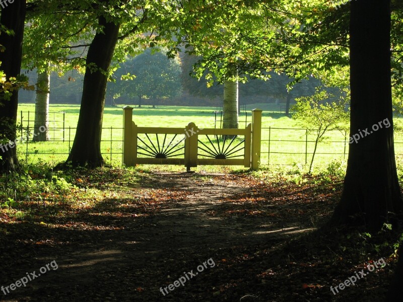 Pasture Rustic Fence Forest Sun Rays