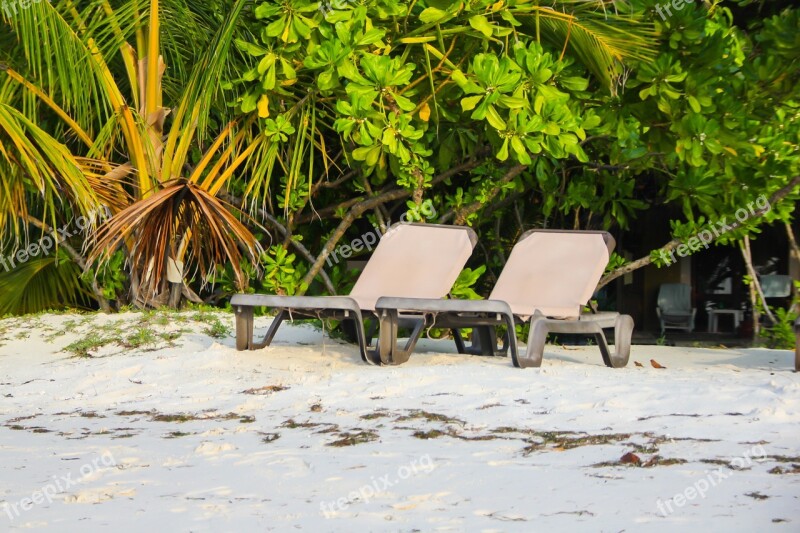 Beach Chair Palm Beach Sea Tropical