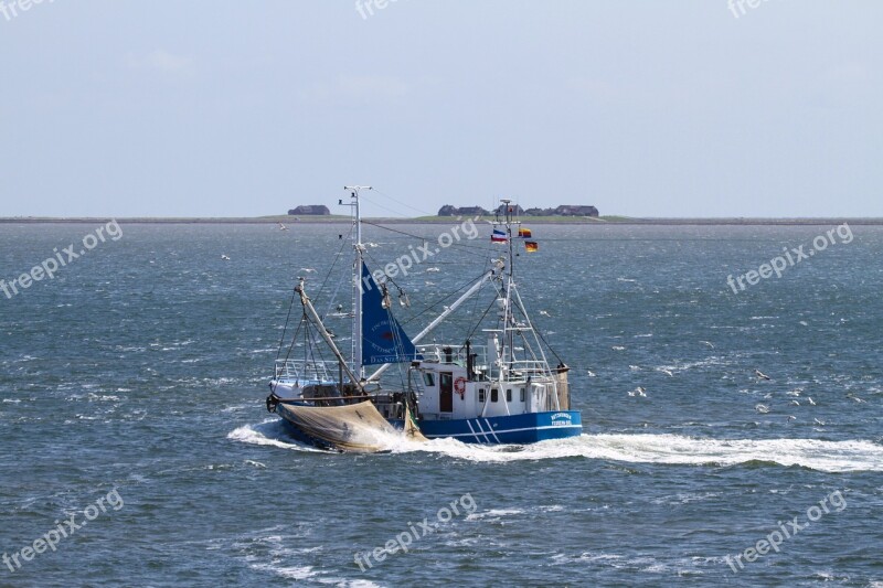 Cutter Shrimp Networks Hallig Nordfriesland