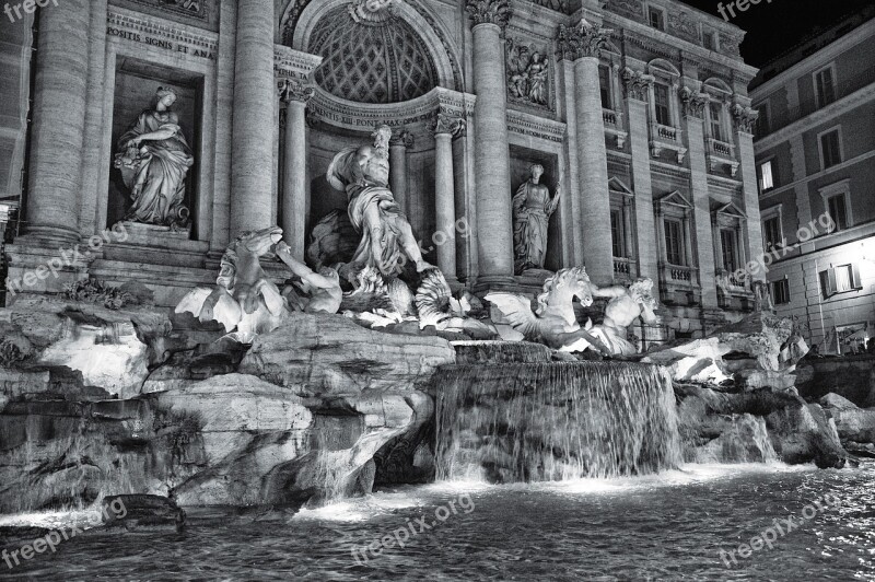 Fountain Trevi Fountain Radicchio Night Rome