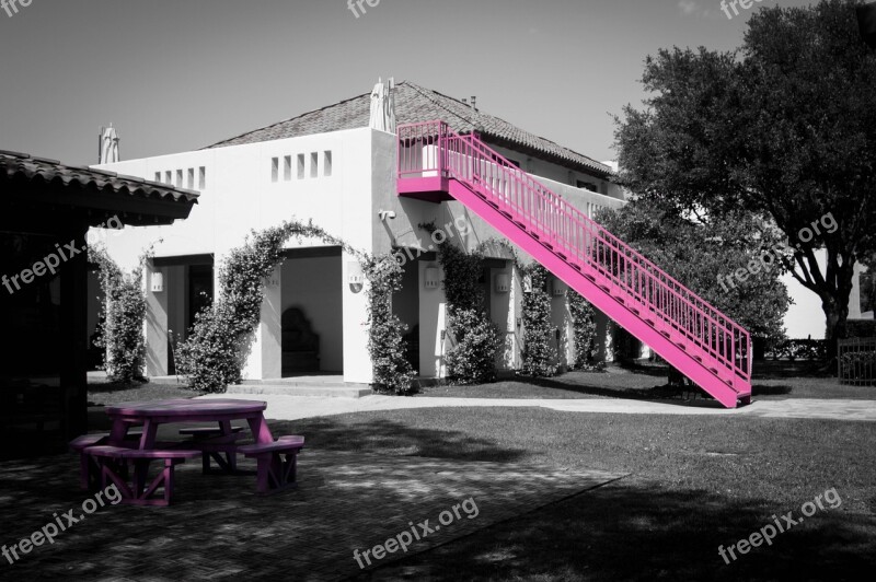 Color Pink Monochromatic Building White