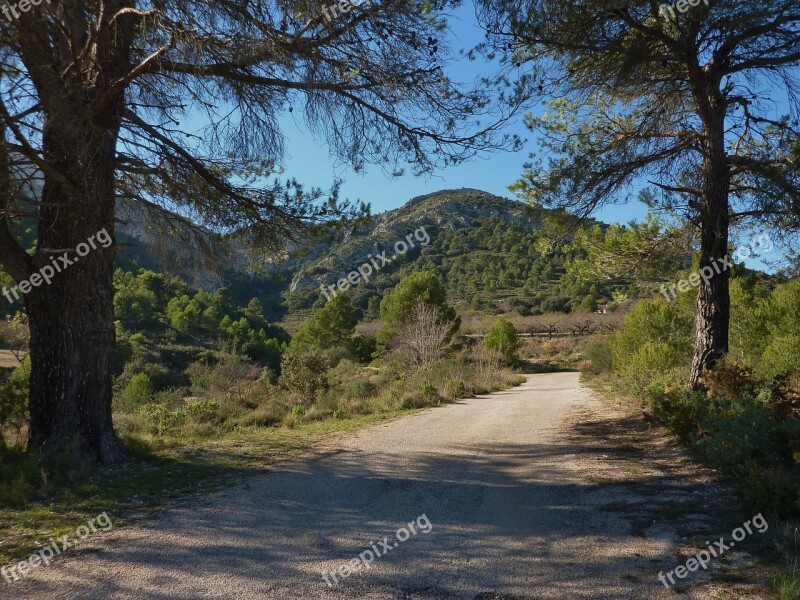 Road Track Spain Trees Travel