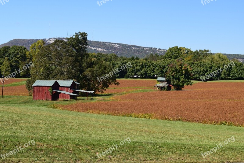 Red Barns Clay Fields Landscape