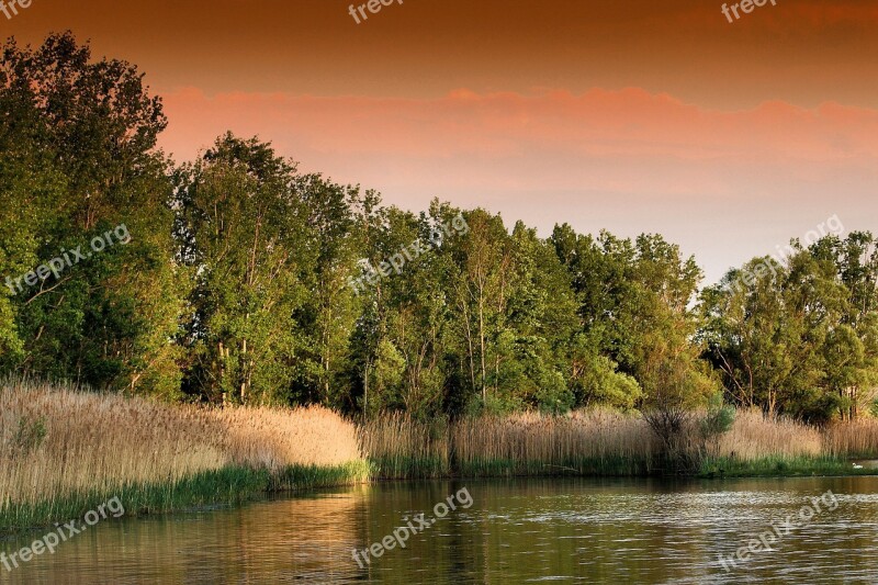 Sunset Lake Forest Trees Nature