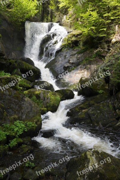 Triberg Waterfall Nature Black Forest Water