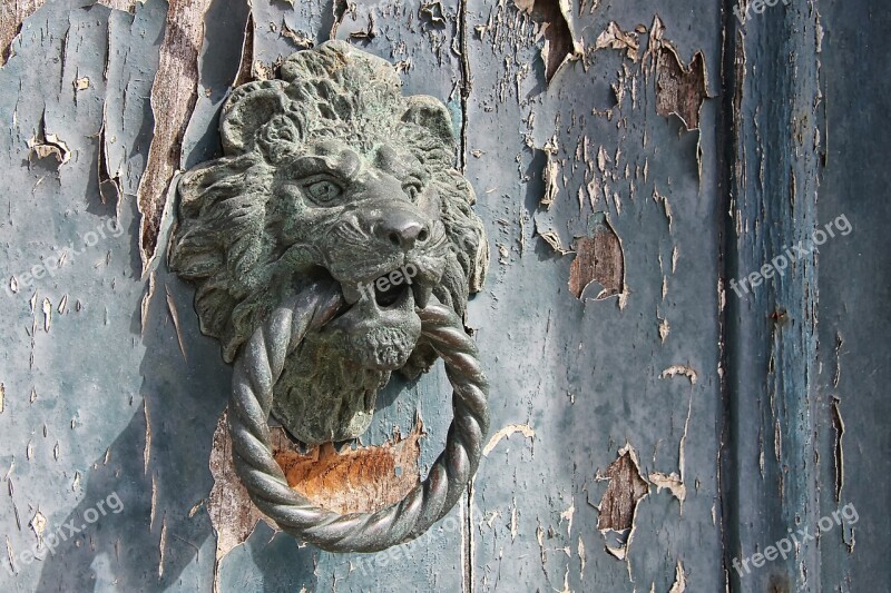 Doorknocker Lion Head Old Free Photos