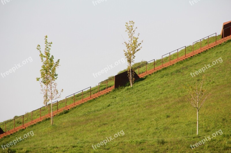 Spring Walk Landscape Nature Green