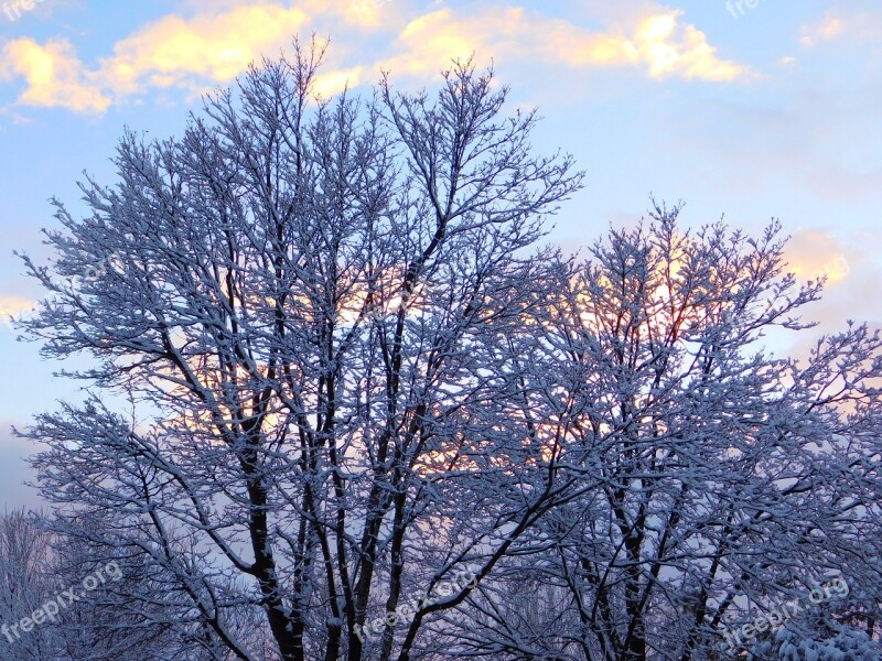 Winter Snow Trees Sunset Sky