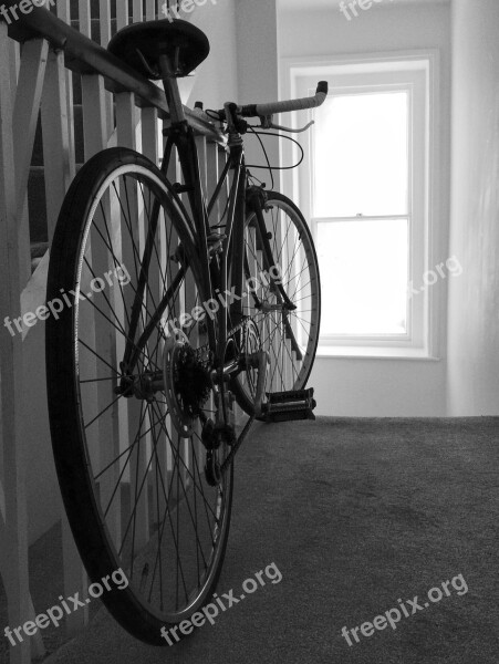 Bike Cycle Bicycle Cycling Sport