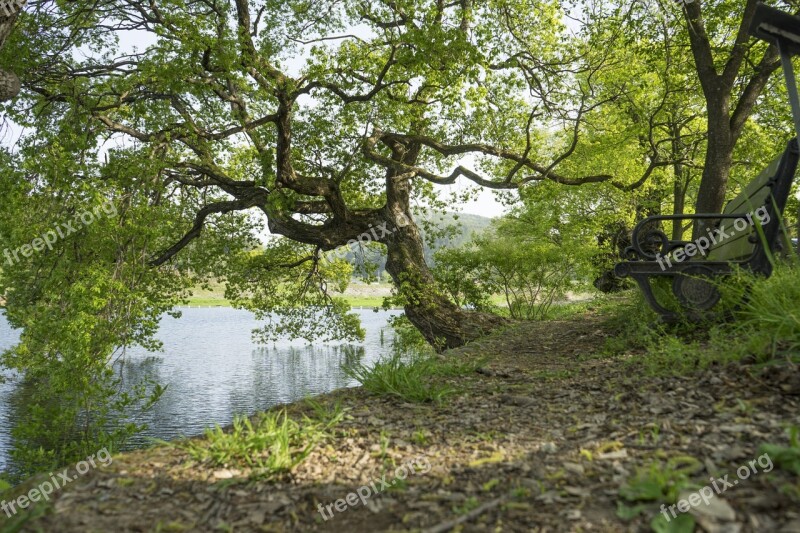 Supjeongyi Road Trails Walk Wood Wangbeodeul