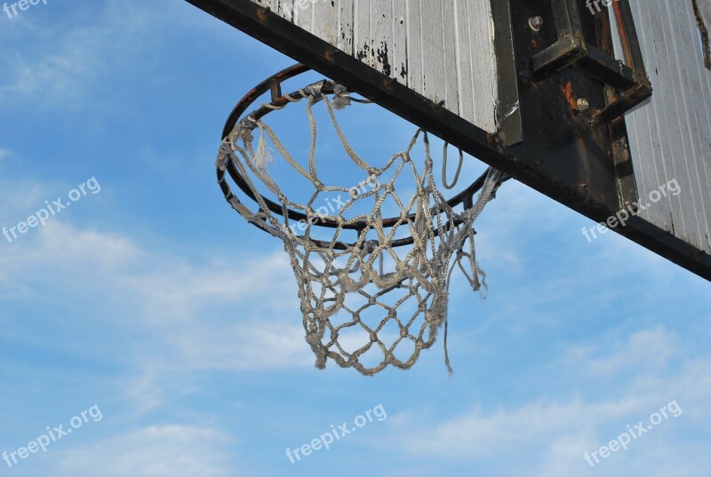 Sport Basket Basketball Free Photos