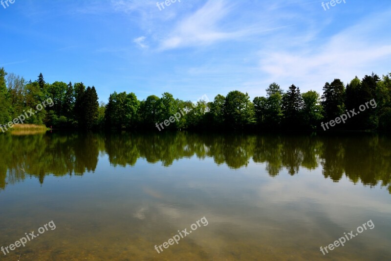 Lake Forest Nature Landscape Trees