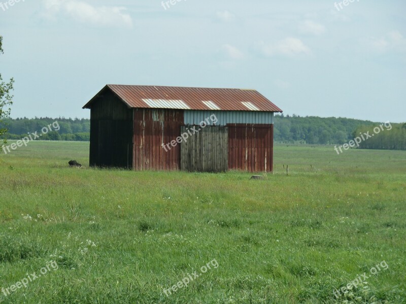 Barn Grass Summer Meadow Nature