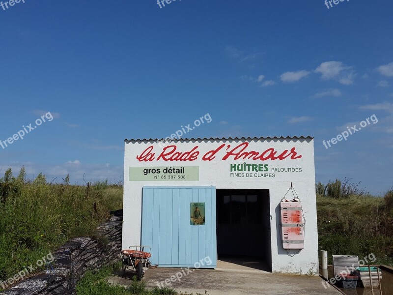 Oyster Farm Oysters France Mussels Fish