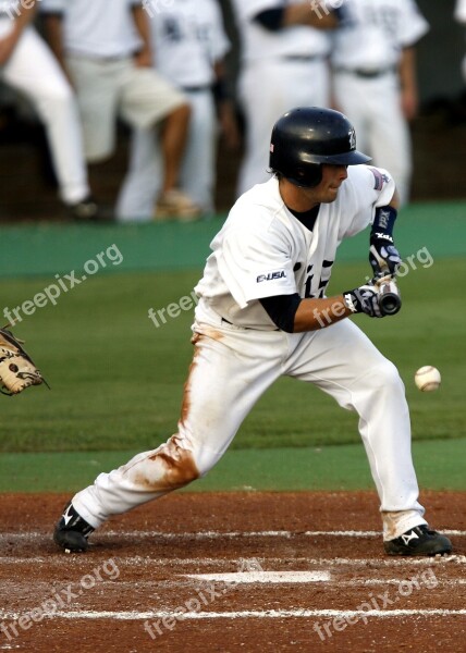 Baseball College Baseball Bunt Hit Ballgame