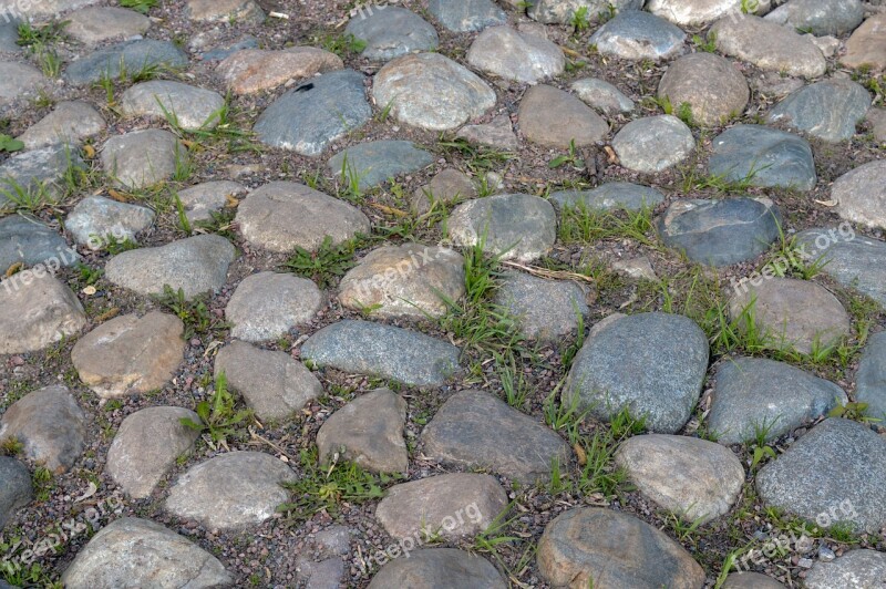 Paved Road Cobblestones Pavement Texture Grass