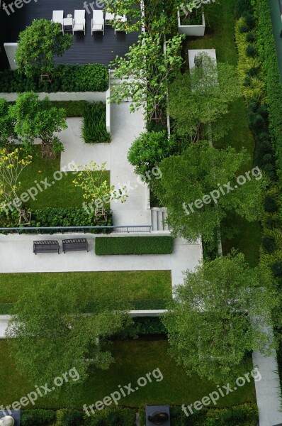 Garden Design Top View Landscape Green