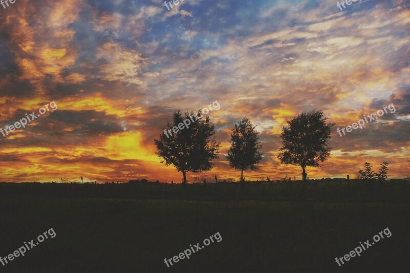 Morning Tree Nature Sunrise Mood