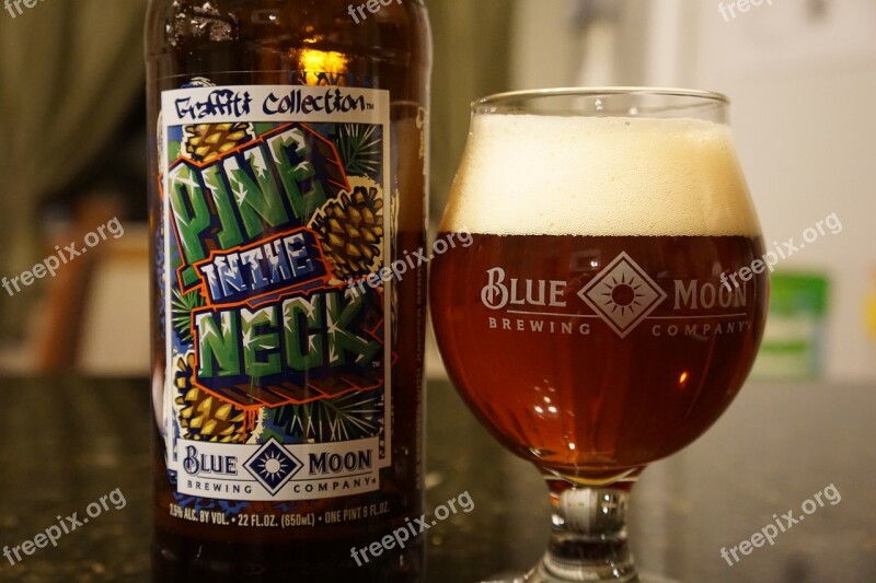 Beer Hops Blue Moon Snifter Glass Craft Beer