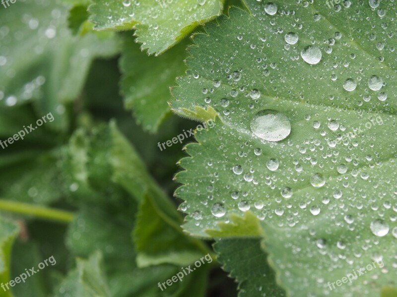 Drop Rain Macro Wet Water