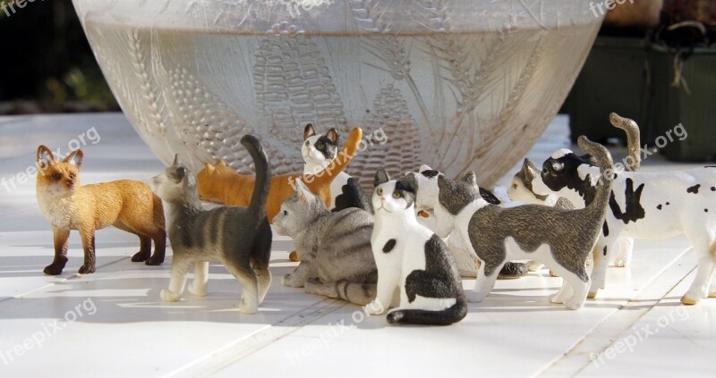 Cats Figurines Felines Cute Collection