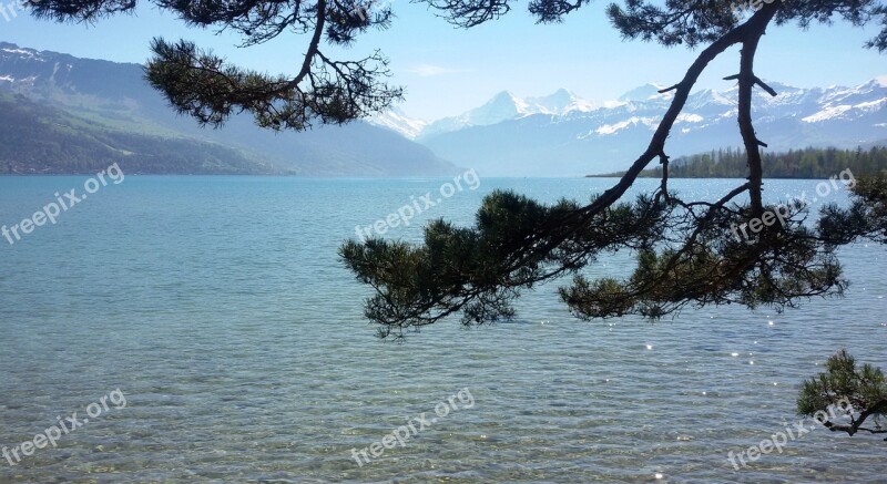 Switzerland Lake Thun Bank Landscape