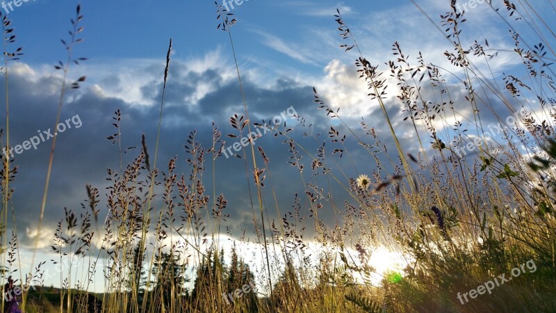 Sunset Clouds Norway Grass Drought