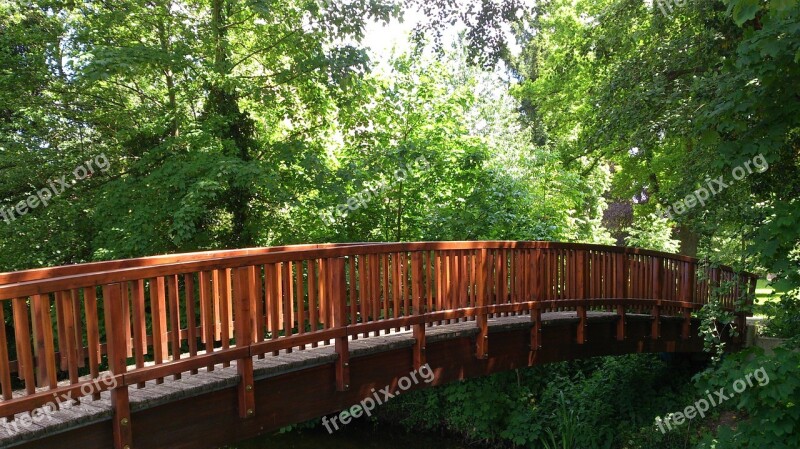 Wooden Bridge Forest Nature Trail Crossing