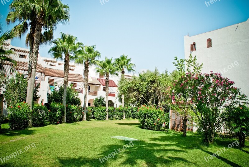 Palm Trees Green Area House Bush Garden