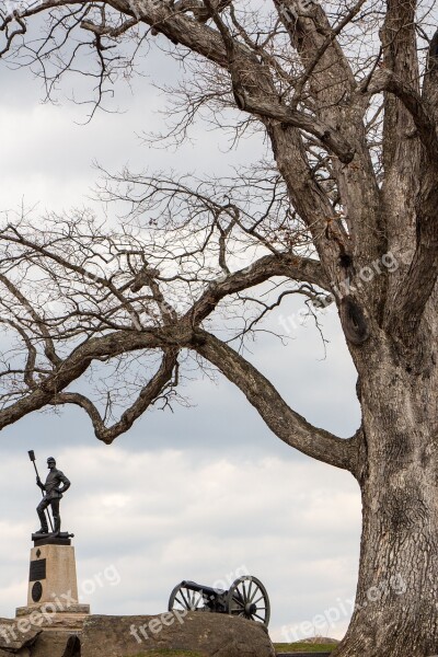 Civil War Tree Scene War History