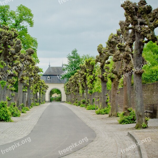 Avenue Tree Lined Avenue Gatehouse Passage Away