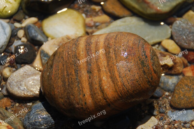 Stone Water Sea Shiny Pebble Beach