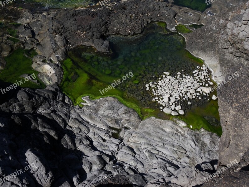 Sea Rocky Coast Green Water Free Photos