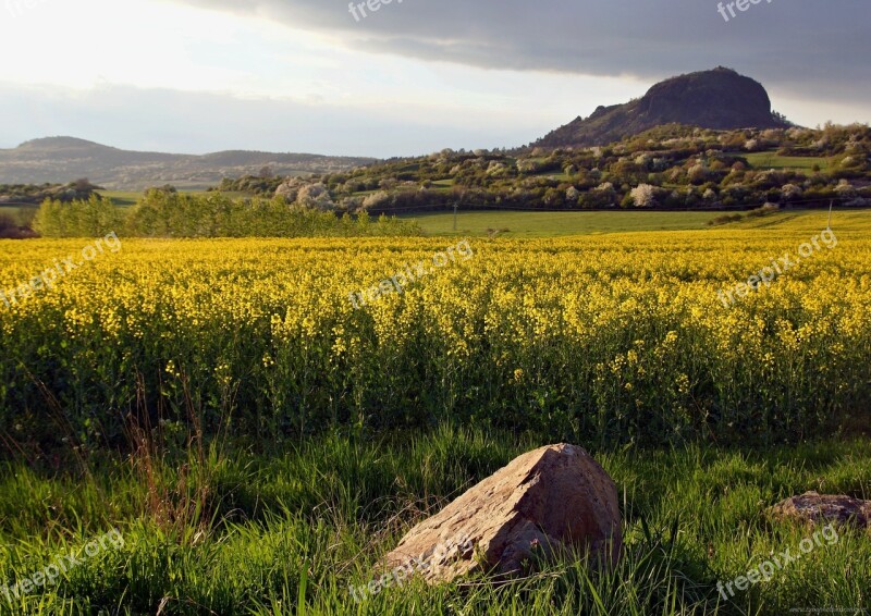 Landscape Spring Rape Yellow Northern Bohemia