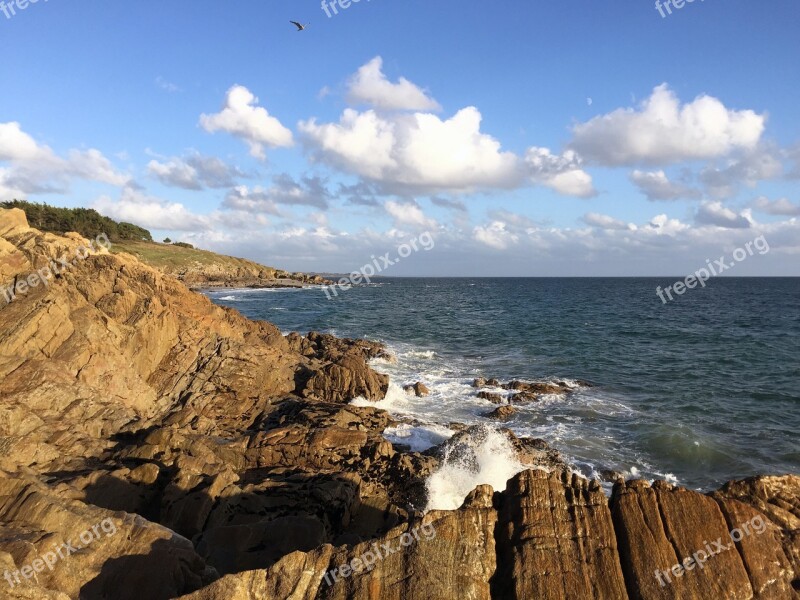 Sea Rock Brittany Cloud Bird