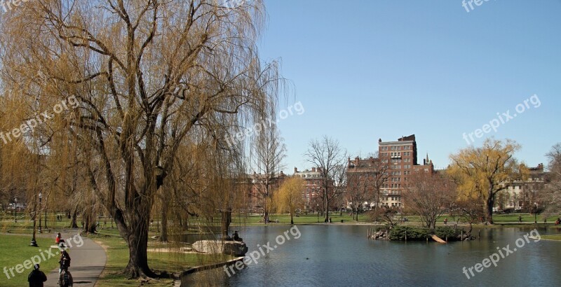 Public Garden Boston Park Common Landmark